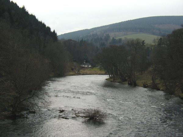 Yair South Gate Setting